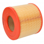 Воздушный фильтр Filtron AR302/1
