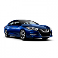 Maxima, A36