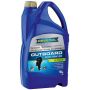 Моторное масло для 4-T лодочных моторов RAVENOL Outboardoel 4T 10W-30, 5л