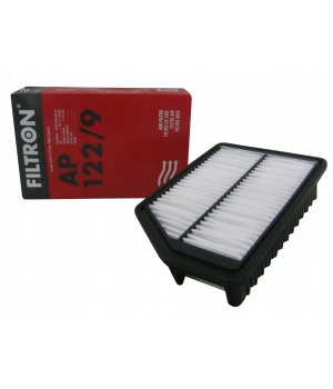 Воздушный фильтр Filtron AP122/9