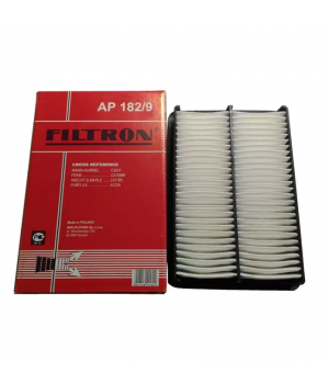Воздушный фильтр Filtron AP182/9