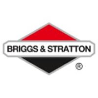 Briggs & Stratton