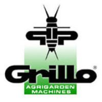 Grillo
