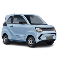 Fengon Mini EV