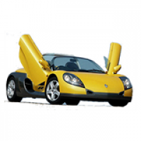 Sport Spider