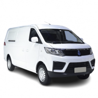 V2 EV