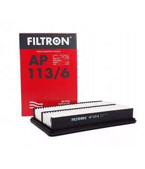 Воздушный фильтр Filtron AP 113/6