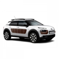 C4 Cactus