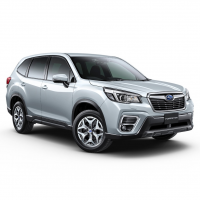 Forester V