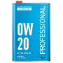 Моторное масло ROLF Professional 0W-20 API SN, ACEA C5, 1л